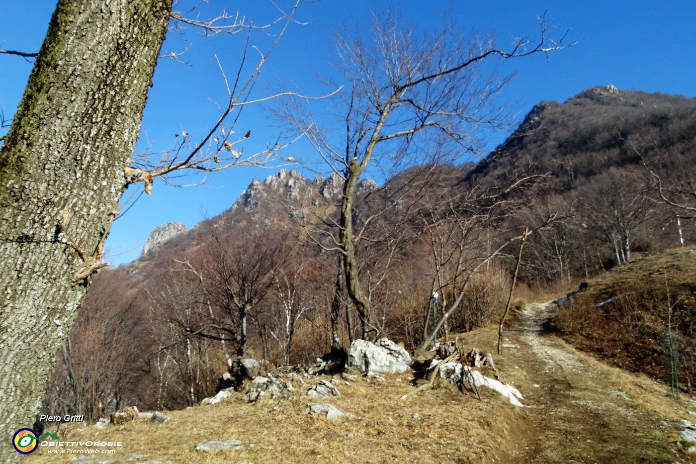 21 Al Passo Pertulena con roccolo (1040 m).JPG